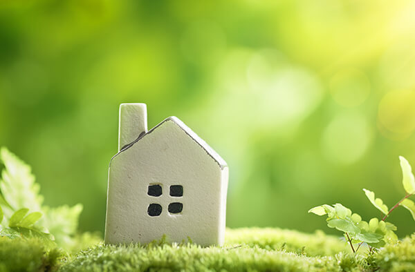 Tiny cardboard house placed on a green background